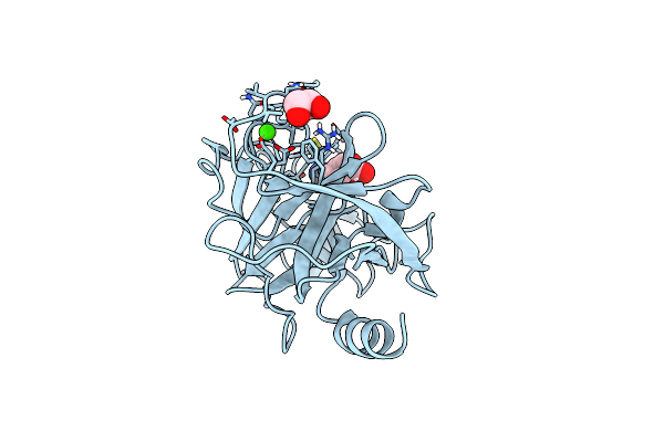 6YZC image