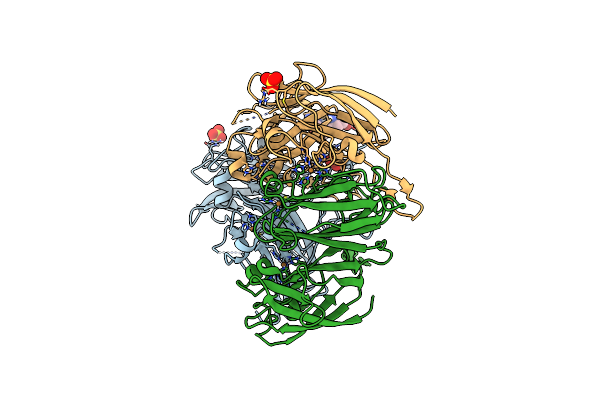 6YZF image