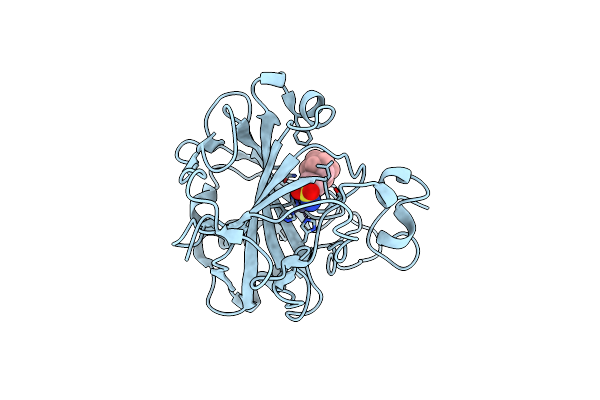 6YZV image