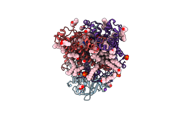 6Z02 image
