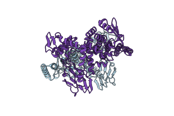 6Z03 image