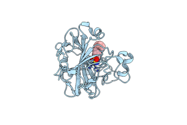 6Z04 image