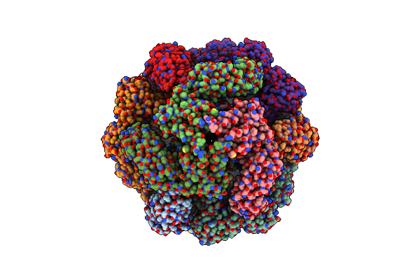 6Z05 image