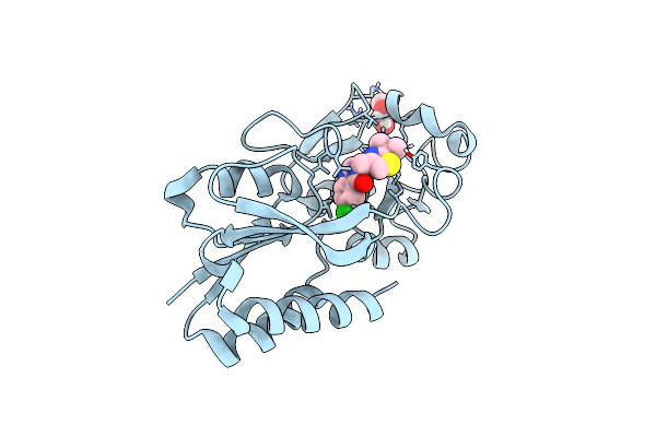 6Z07 image