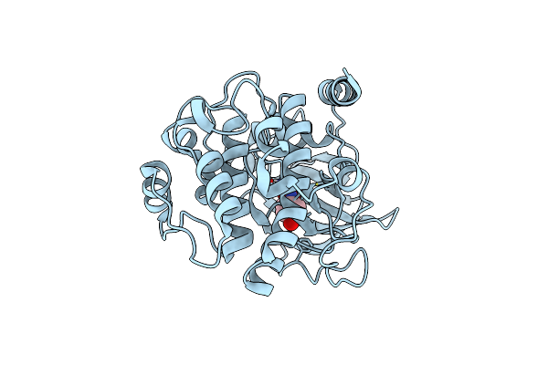 6Z08 image