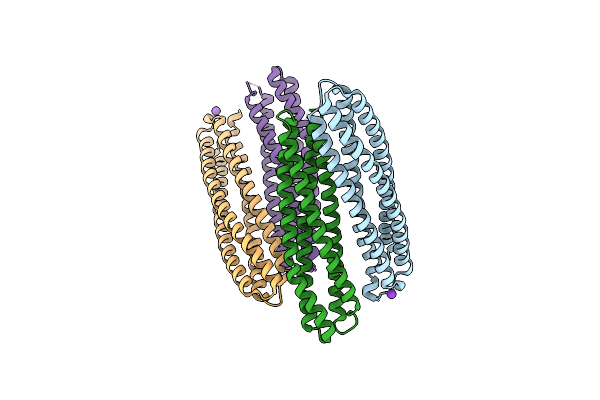 6Z0C image