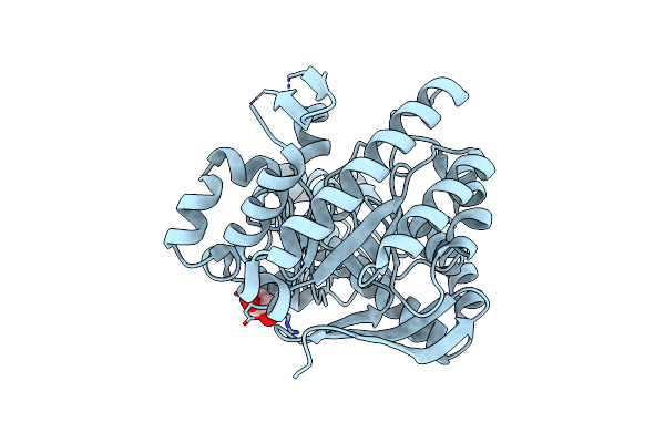 6Z0D image