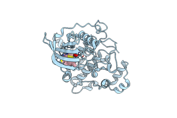 6Z1C image