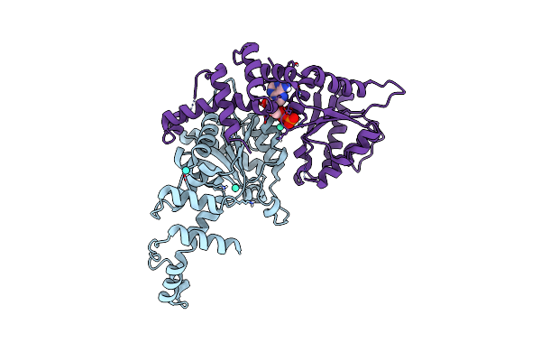 6Z1D image