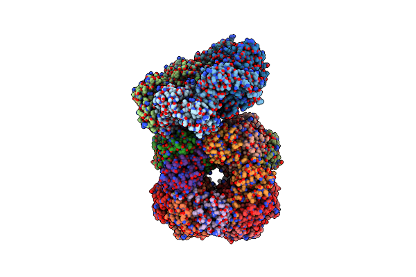 6Z1F image