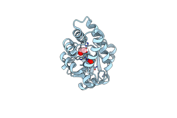6Z1L image