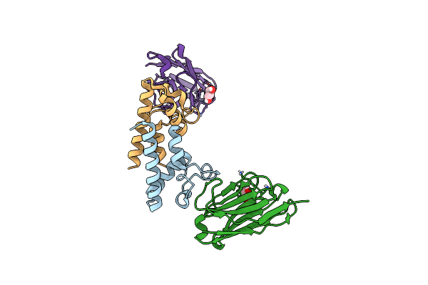 6Z20 image