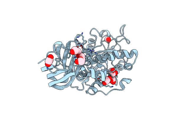6Z2D image