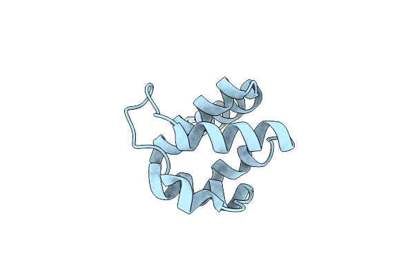 6Z2G image