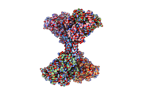 6Z2K image