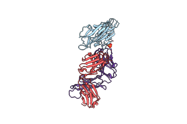6Z2L image