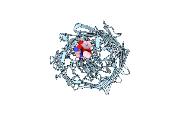 6Z2N image