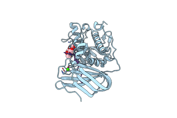 6Z2P image