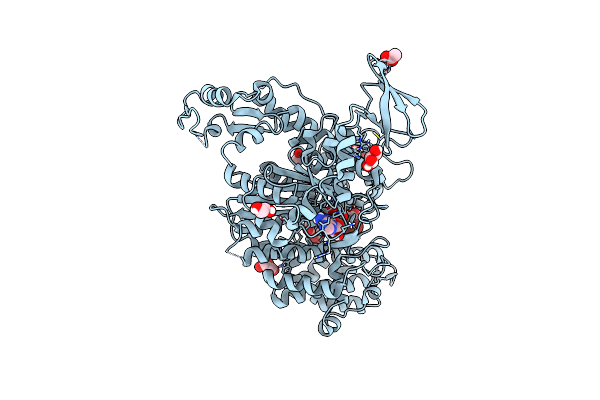 6Z2S image