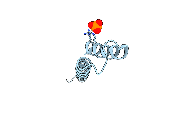 6Z2T image