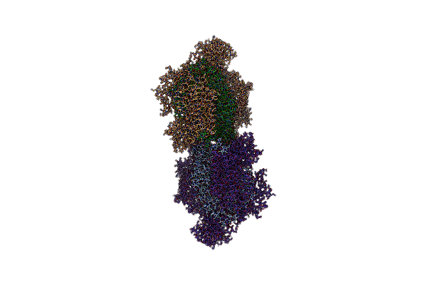 6Z2X image
