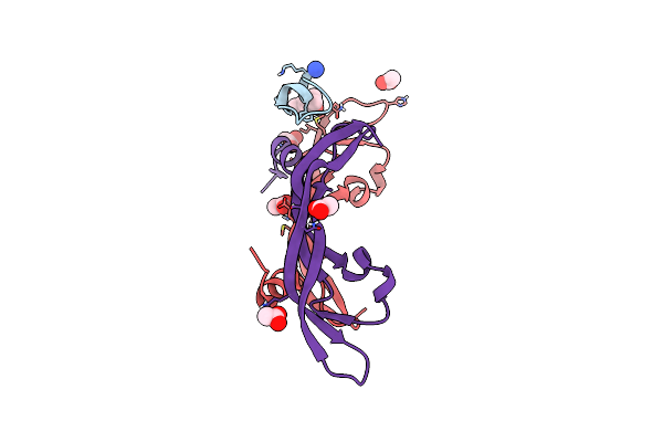 6Z3F image