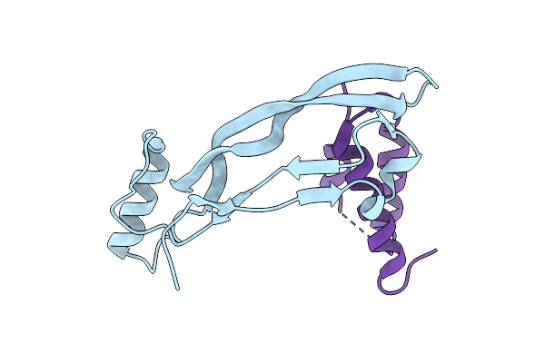 6Z3L image