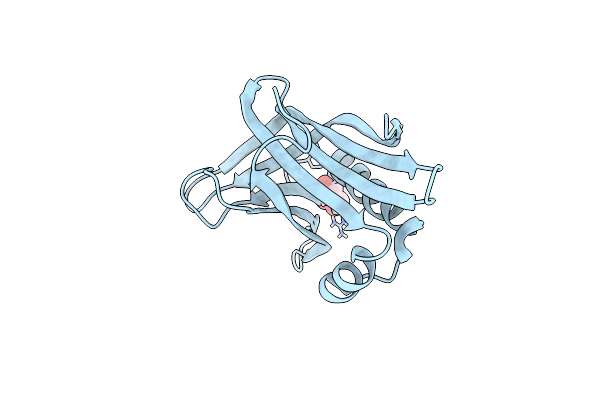 6Z4A image