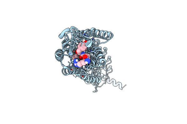 6Z4V image