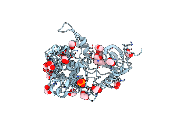 6Z53 image