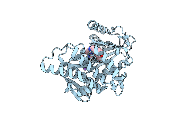 6Z59 image