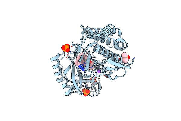 6Z5A image