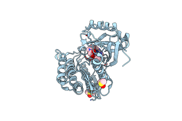 6Z5B image
