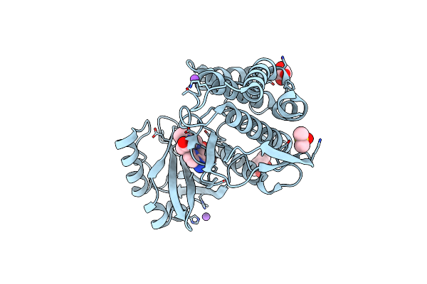 6Z5E image
