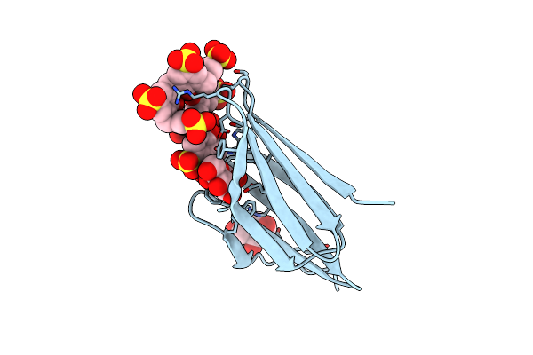 6Z5Z image