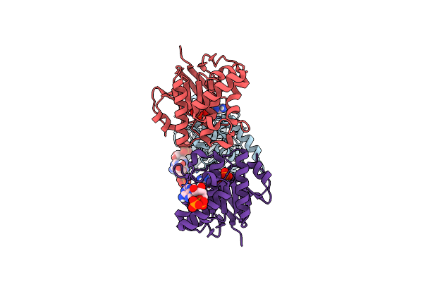6Z63 image