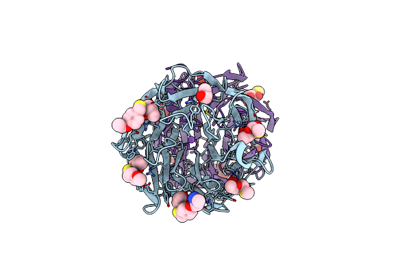 6Z6C image