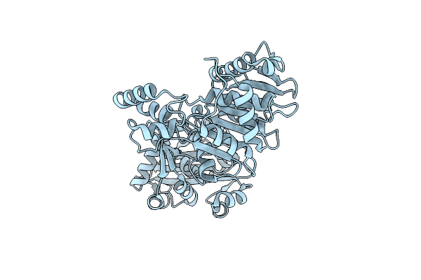 6Z6D image