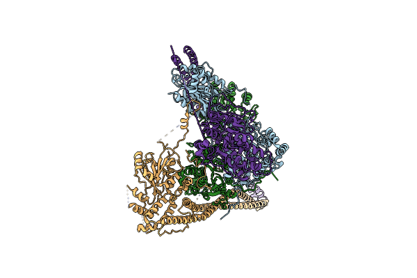 6Z6F image