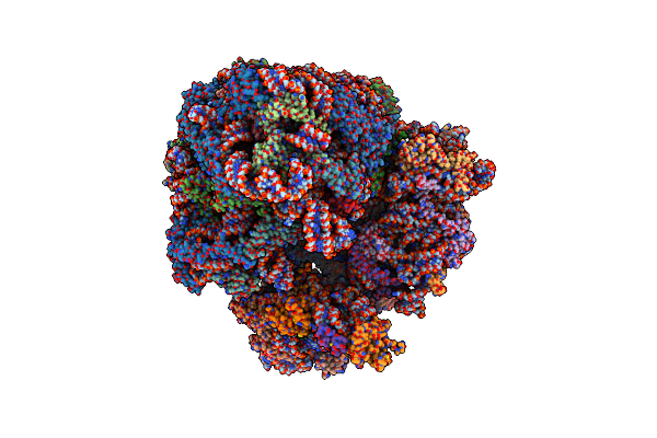6Z6J image