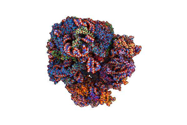 6Z6K image