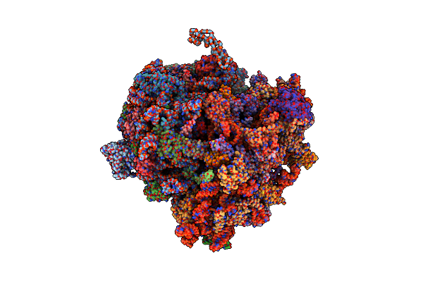 6Z6L image