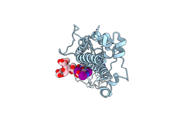 6Z79 image