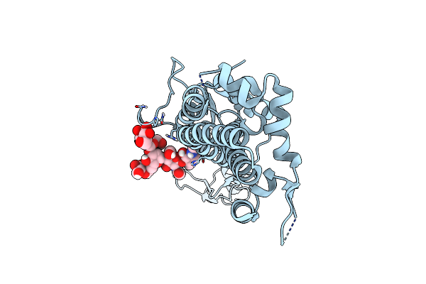 6Z7A image