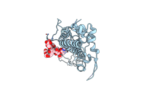 6Z7C image