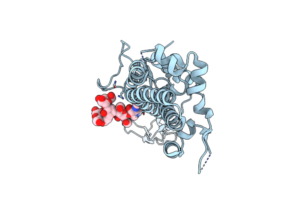 6Z7D image