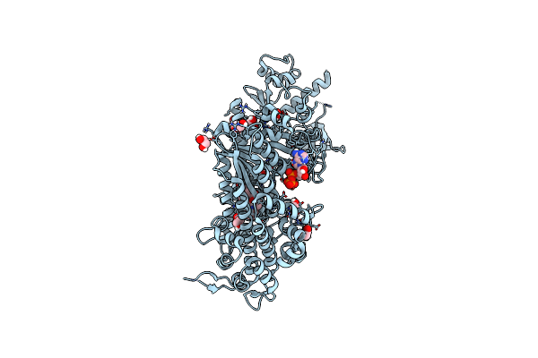 6Z7U image
