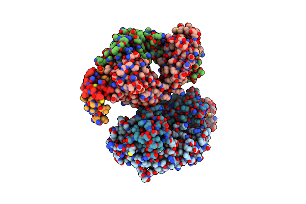 6Z7Y image