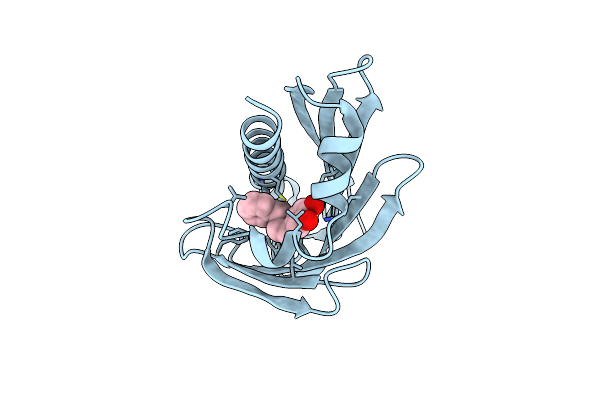 6Z82 image