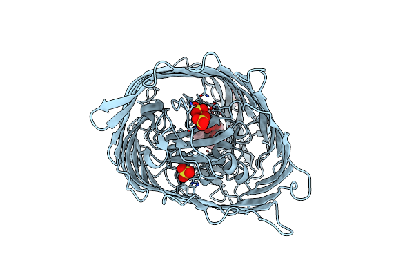 6Z8A image